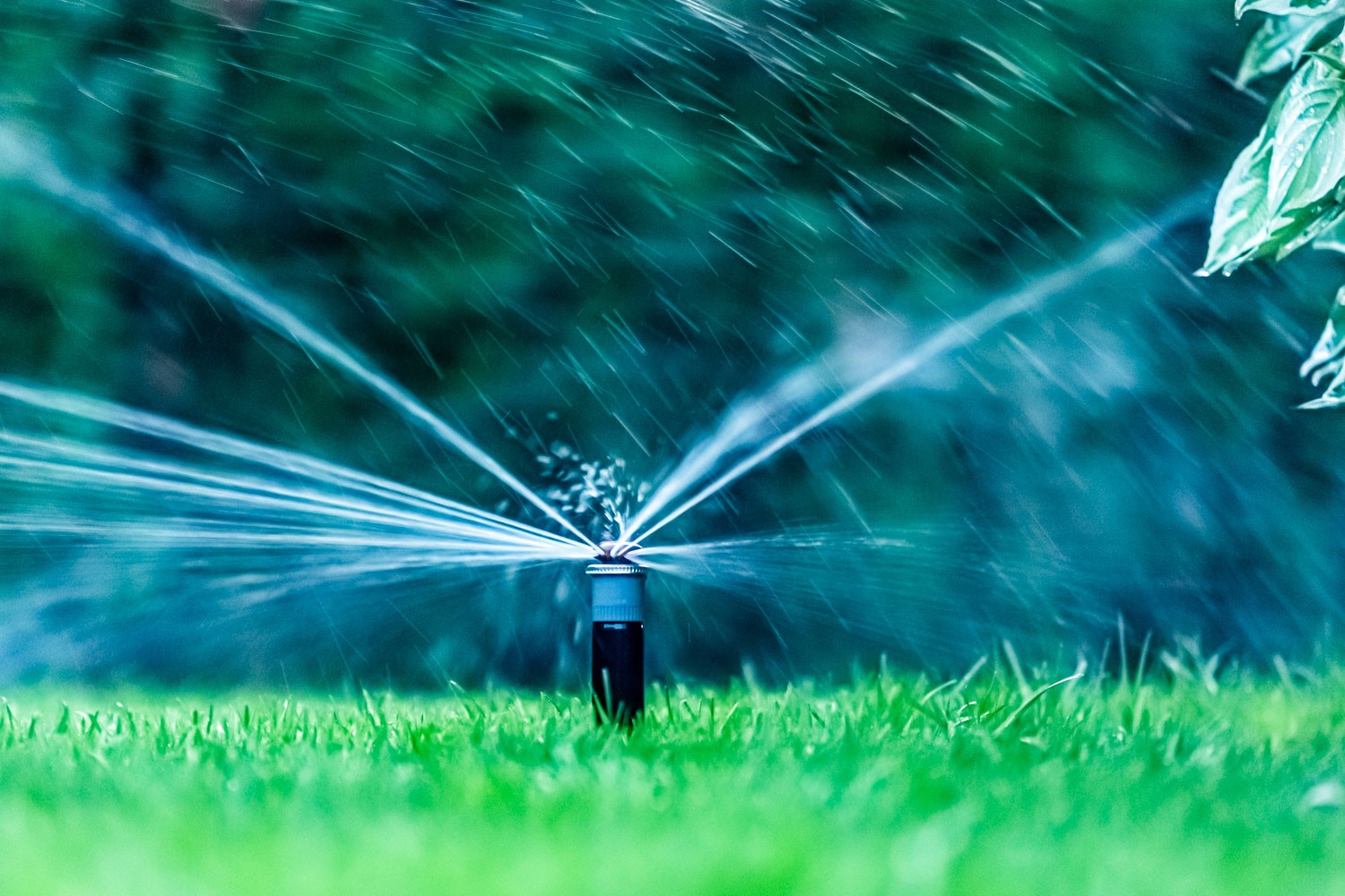 Bewässerung Stilgarten