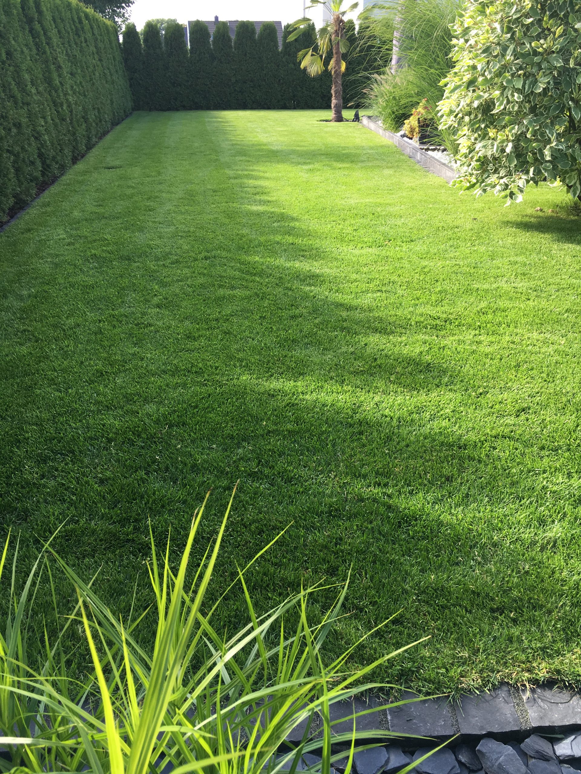 Hier hat Stilgarten eine präzise Bewässerungsanlage installiert. Bis zur Kante ein top grüner Rasen ohne Trockenstellen.