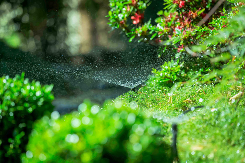 Mikro-Bewässerung-Stilgarten-Hiigh-End