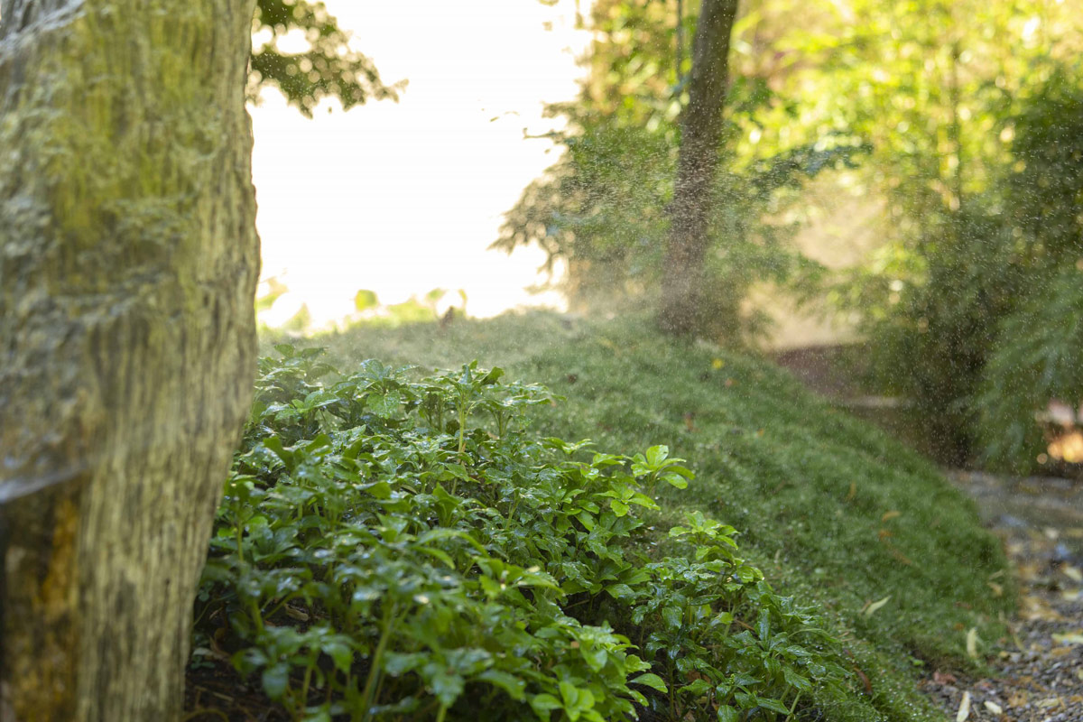 Stilgarten-Naturstein-Bewässerung-Begrünung