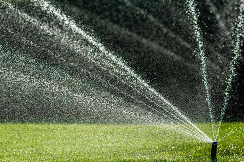 Automatischer Rotationsregner bei der Rasenbewässerung im Privatgarten - professionelle Installation durch Stilgarten.