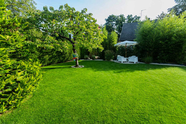 Stilgarten-perfekter.Rasen_-1